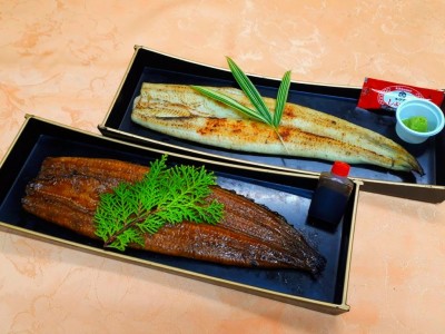 高知産鰻白焼き/蒲焼き